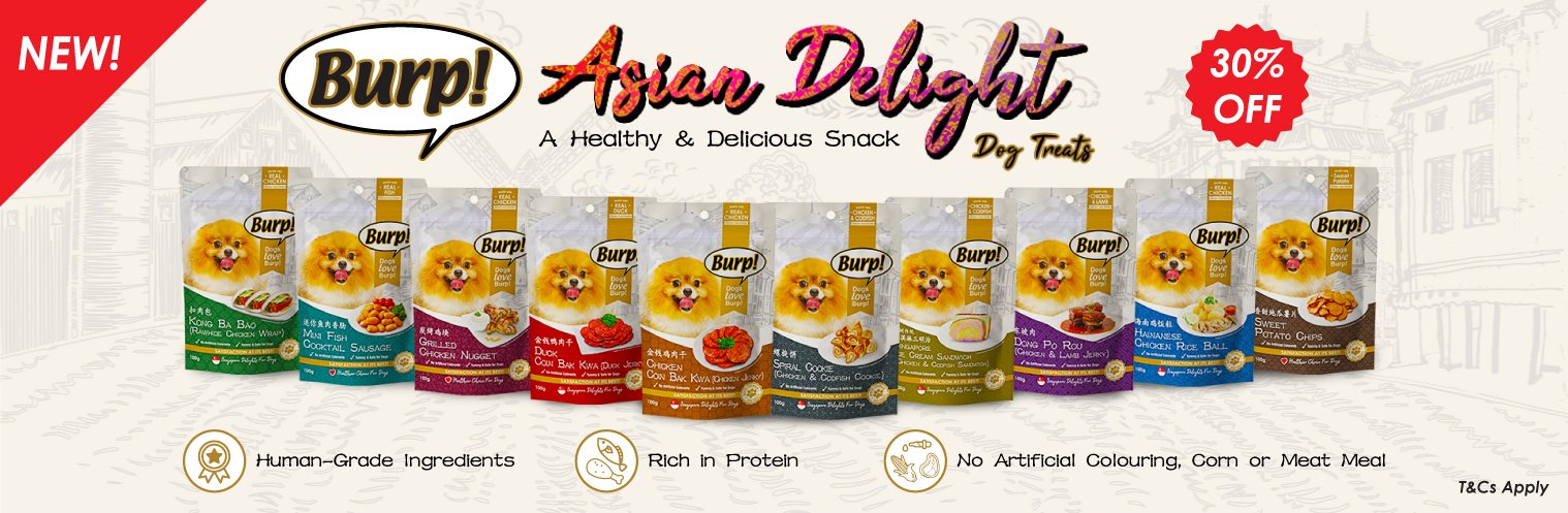 /Files/Images/Burp!-Asian-Delight-Dog-Treats_Dweb-Main-Banner-(1518-x-497-pixels).jpg