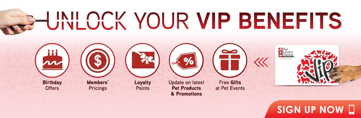 /Files/Images/MSB-PLC-VIP-MY.jpg