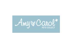 Amy N Carol 