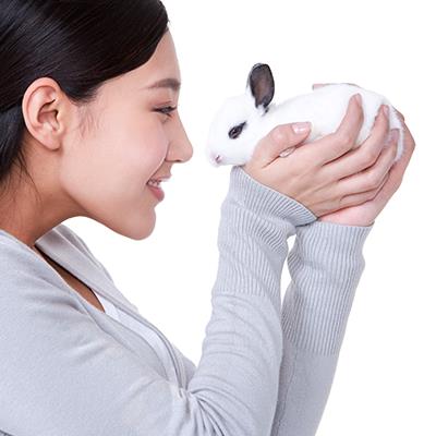 Oct 17 - Things you should know as a First Time Small Animal Owner