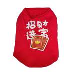 CHINESE NEW YEAR T-SHIRT - LUCKY FORTUNE (RED) (SMALL) SS023K036TE008MTS