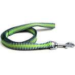 LEASH-GRADIENT (GREEN) (EXTRA LARGE) BWNYLR25RGNXL