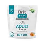 BRIT CARE GRAIN-FREE ADULT SALMON & POTATO 1kg BC510160