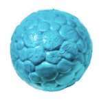BOZ DOG BALL (BLUE) WPD0AZ015PCK
