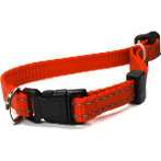 REFLECT DOG COLLAR (RED) (SMALL) BWDC1712RDS