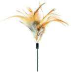 CAT TEASER - CHICKEN FEATHER (BROWN) BW/AT3634
