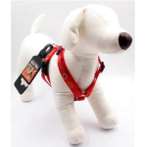 HARNESS - FIREWORK (RED) (SMALL) BWDH1832RDS