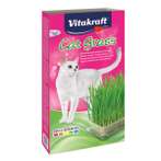 CAT GRASS 120g PV24031