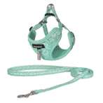 DOG HARNESS WITH LEASH (TURQOUISE) BWDG3793