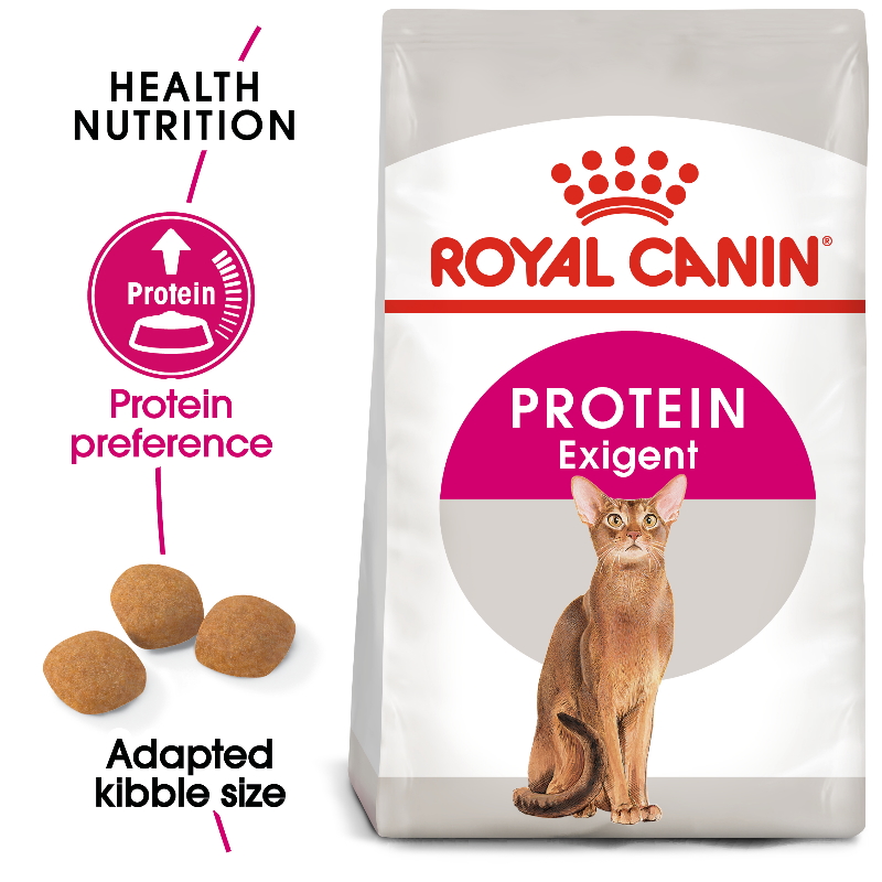 Royal Canin Fbn Maine Coon 4Kg Malaysia  Pet Lovers Centre