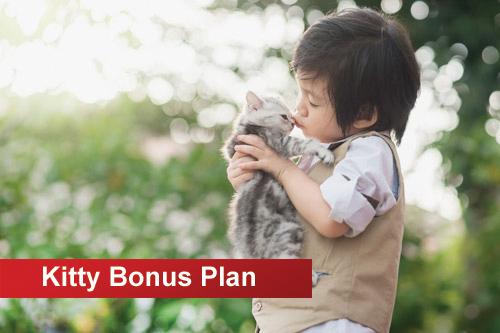 /Files/Images/plc/banner_bonus_kitty.jpeg