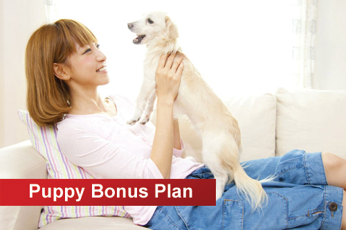 /Files/Images/plc/banner_bonus_puppy.jpeg